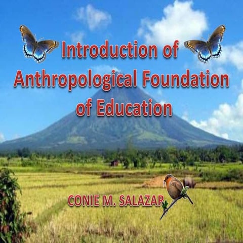 Anthropological foundation