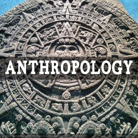 Anthropology Reflection 2017