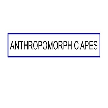  Anthropomorph apes (1)