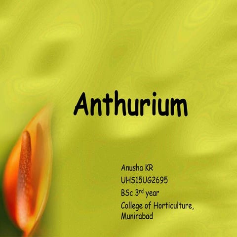 Anthurium Crop Production