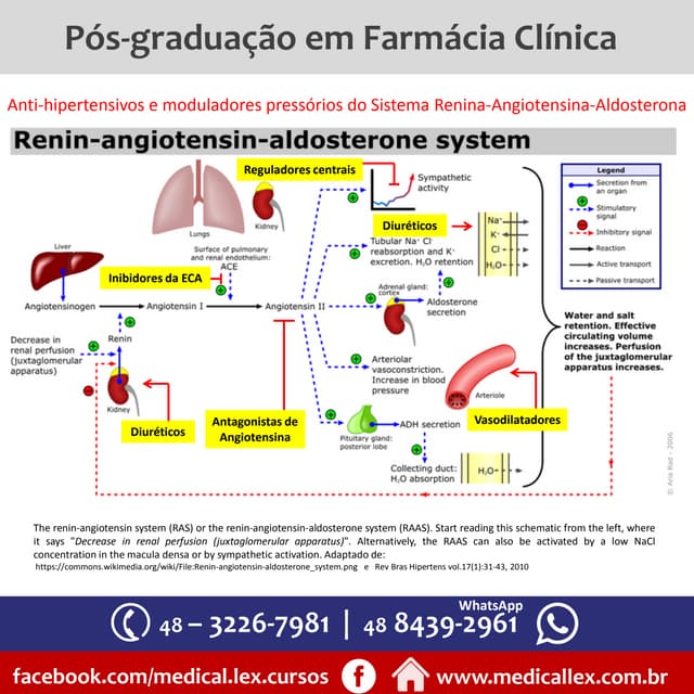 Anti hipertensivos no sistema raa | PDF