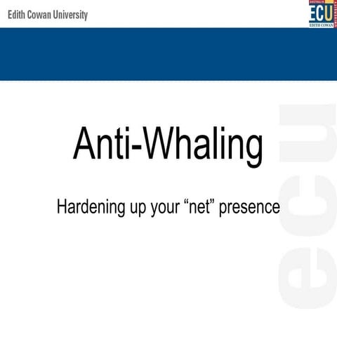 Anti   Whaling   Hardening Up Your Net Presence
