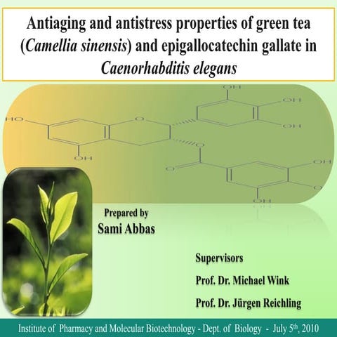 Antiaging and antistress properties of green tea and epigallocatechin ...