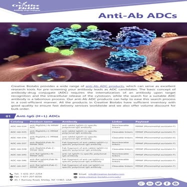 Characterization of monoclonal antibodies and Antibody drug conjugates ...