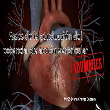 Antiarrítmicos y fisiología de la excitación ventricular