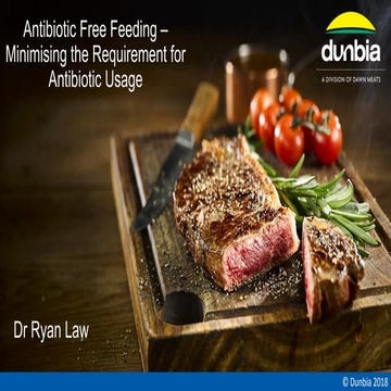 Antibiotic Free Feeding Dr. Ryan Law