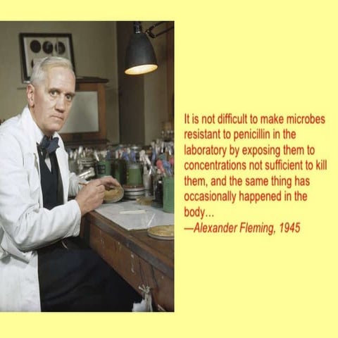 Antibiotic production