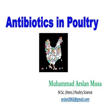 Antibiotics in Poultry