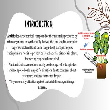 bags for planting Potato/Tomato Grow Bags (3 bags)  West Coast Seeds