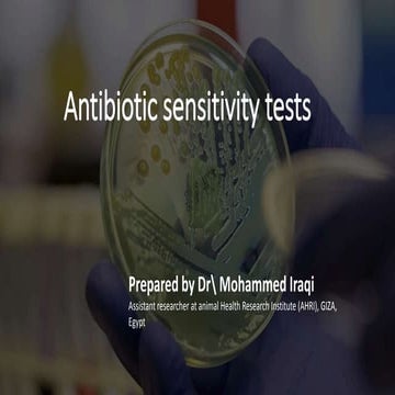 Antibiotic sensitivity test.