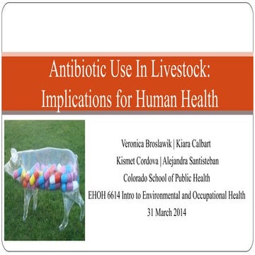 Antibiotics Use in Livestock: Implications for Human Health