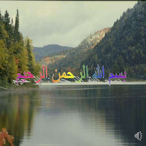 Antibiotic Strategy in Lower Respiratory Tract Infections (part 1)