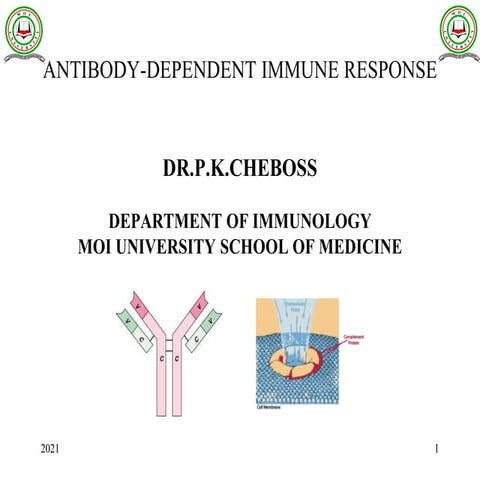 Antibobody immune response msb 100