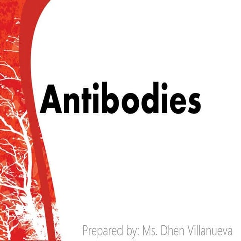 Antibodies