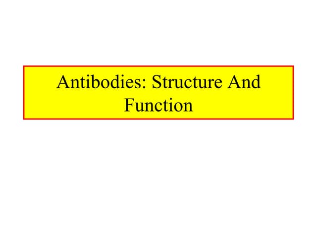 Antibodies