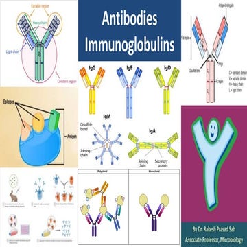 Antibodies.pptxa.pptx