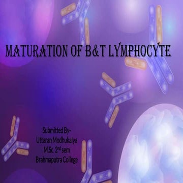 Maturation of B &T Lymphocyte