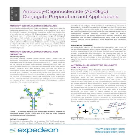 Antibody oligonucelotide conjugates application note