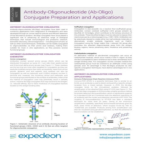 Antibody oligonucelotide conjugates application note updated-07_jan2019