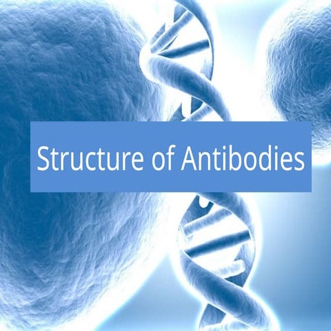 Antibody: Structure and Function | PPTX