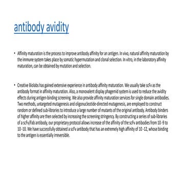 Antibody avidity