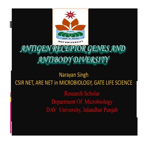 Antigen receptor Gene & Antibody diversity