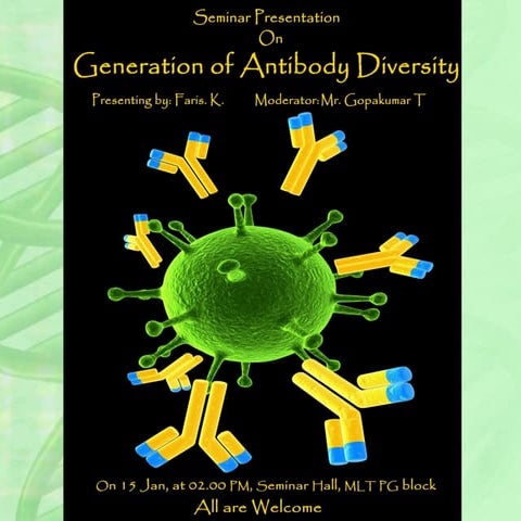 Antibody diversity presentation