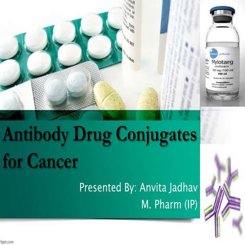 Antibody drug conjugates for cancer