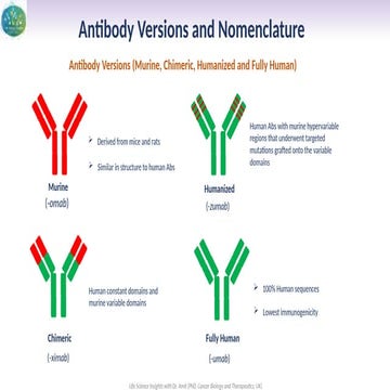 Comprehensive Guide to Antibody Versions and Nomenclature | PPTX