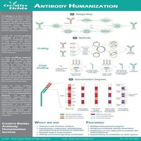 Antibody Humanization service creative biolabs | PPTX