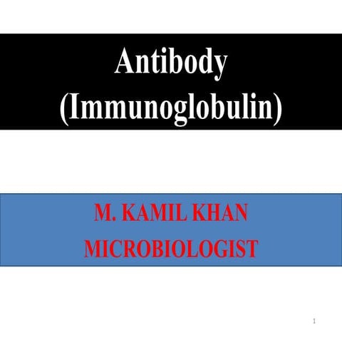 Antibody (immunoglobulin)