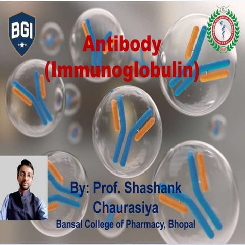 Antibody immunoglobulin by prof. shashank chaurasiya
