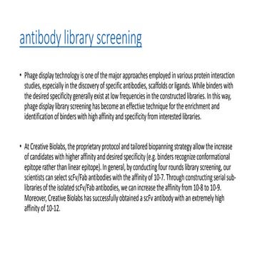 Antibody library screening