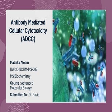Comprehensive Overview of Antibody-Dependent Cellular Cytotoxicity ...