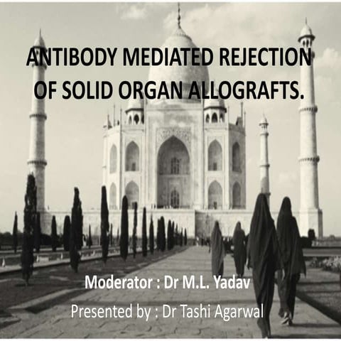Antibody mediated rejection of solid organ allografts