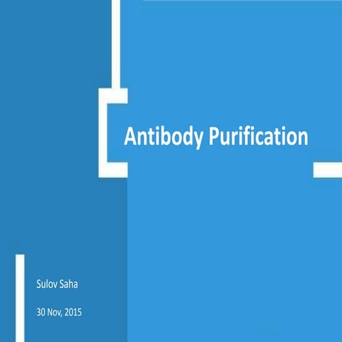 Antibody purification