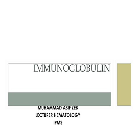 Antiboy or immunoglobulin