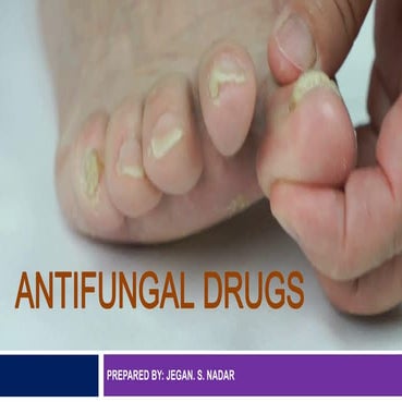 Antifungal Drugs