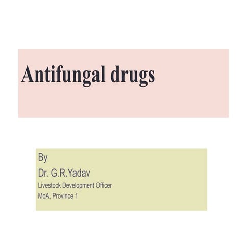 Antifungal presentation for students.ppt