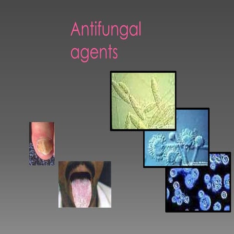 anti fungal agent.pptx