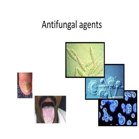 Antifungal drugs | PPTX
