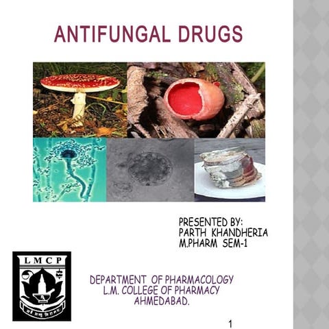 Antifungal drugs