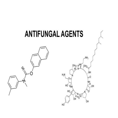 Antifungal drugs | PPT