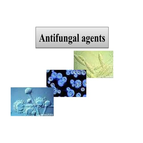 Antifungal drugs