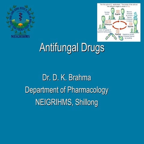 Antifungals - drdhriti | PPT