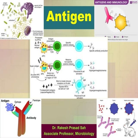 Antigen.pptx