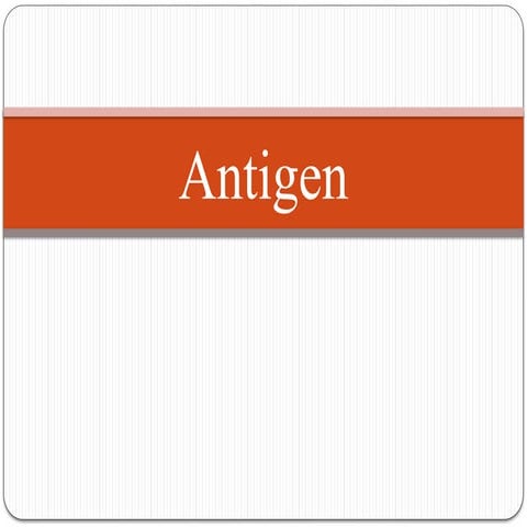 Microbiology - Immunology - Antigens.ppt