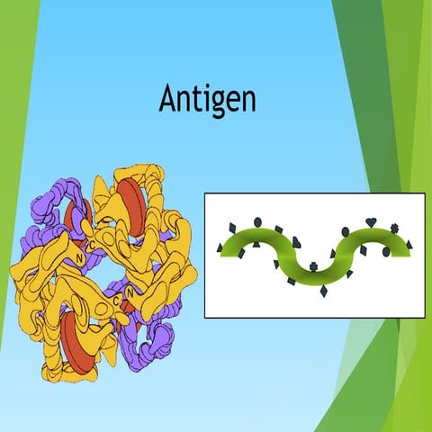 Antigen.antibodies, mechanism, types,ppt
