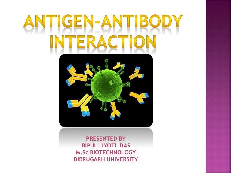 Antigen antibody interaction