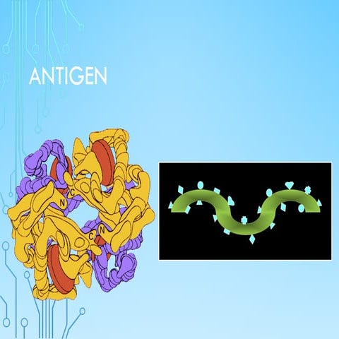 Immunology: Power Point slides on Antigen